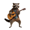 Raccoon Guitar
