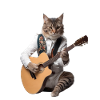 Cat Guitar