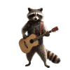Raccoon Guitar