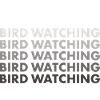 Bird Watcher Bird Watching