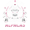 Alpaca Llama