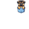 German Shepherd Dog Malinois