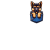 Berger Allemand Malinois