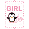 Penguin Penguin Animal