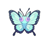 Crazy Butterfly