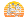 Texas Desert