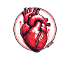 L’anatomie d’un cœur