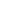2009