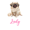 Crazy Pekingese lady