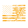 Dink Pickleball responsable Pickleball patriotique