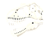 Fossil Hunter, Fossil Hunter, Paleontologist