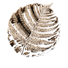 Fossil Hunter, Fossil Hunter, Paleontologist