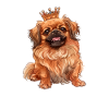 Pekingese crown