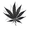 Monochrome Hemp Leaf Silhouette