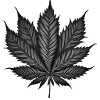 Monochrome Cannabis Leaf on Black