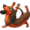 Dachshund Yoga Exercises & Gymnastics Stretching