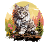 Ragamuffin Chaton Ragamuffin Chat