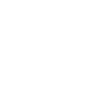 Sneakerhead Sneaker Collector