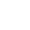 Sneakerhead Sneaker Collector