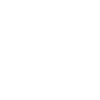 Sneakerhead Sneaker Collector