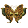 Stunning elegant butterfly.
