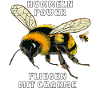 BUMBLEBEE POWER FLIES WITH CHARM
