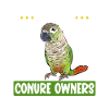 Molina Parakeet Parrot Bird Parakeet