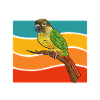 Molina Parakeet Parrot Bird Parakeet