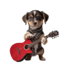 Dog Puppy Guitar