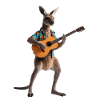 kangourou guitare