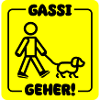 Dog walking dog