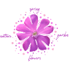 pink flower pink blossoms