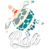 Bali - Indonesia - Turtle