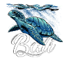 Bali - Indonesia - Turtle
