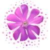 pink flower