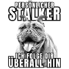 PERSONAL STALKER BULLDOG DOG DOGS