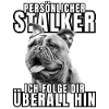 PERSONAL STALKER BULLDOG DOG DOGS