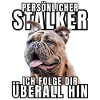 PERSONAL STALKER BULLDOG DOG DOGS