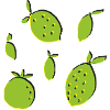 lemon orange lime