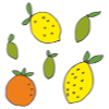 Citrus fruits in motion