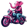 Pink Elephant Biker