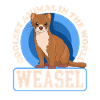 Weasel Mouse Weasel Hermännchen Gift