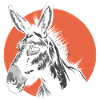 A donkey