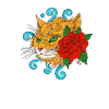 Cat‘n‘Roll
