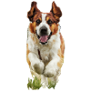 Doggo