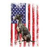 whippet chien drapeau américain