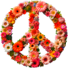 Floral Peace Sign