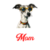 Whippet Maman Chien