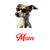 Whippet Dog