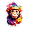 Affe Monkey V1 24 20